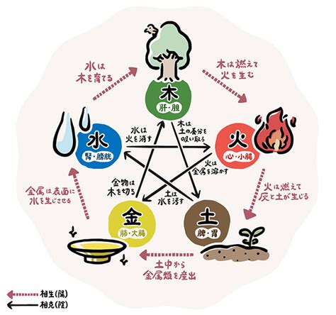 火 水 土|五行説｜中国の自然哲学思想！万物は火・水・木・金 